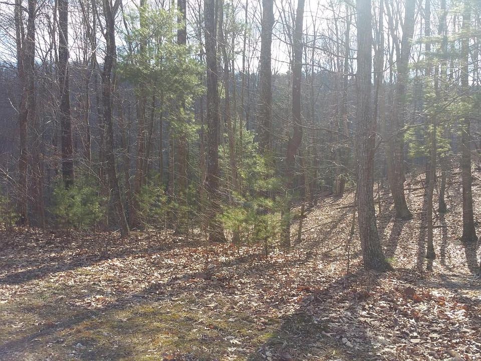 2nd image of 47 Night Hawk Ln