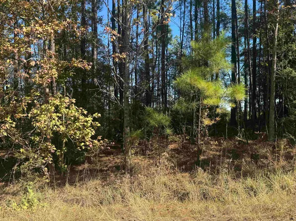 93 Private Road 6028, Brookeland, TX 75931