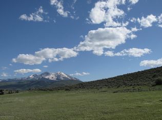 901 Green Meadow Dr, El Jebel, CO 81623