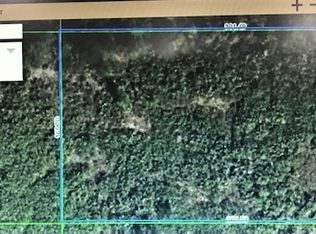 1412 S Davidson Rd, Avon Park, FL 33825