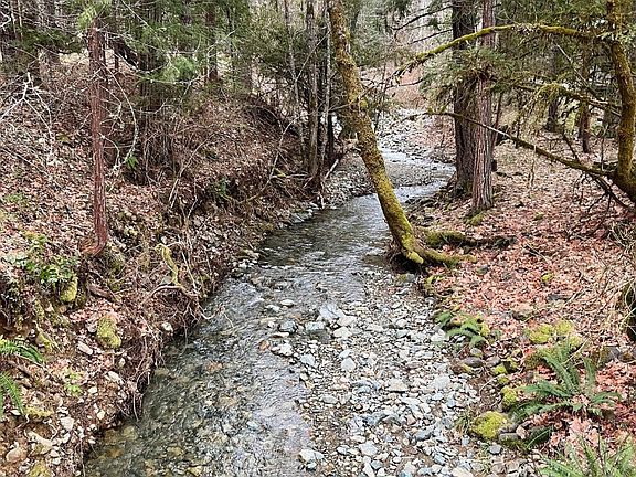 5th image of 8081 W Evans Creek Rd