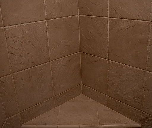 Master Bathroom Shower