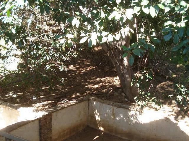 2 bed, 800 sqft, $3,500 — Photo 2