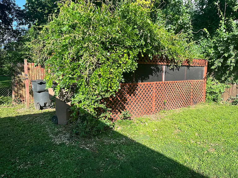 5403 Georgia Ave — Photo 4
