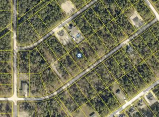20 Resort Ave, Brooksville, FL 34614