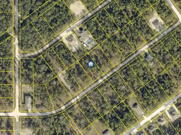 LOT 20 RESORT AVENUE LOT 20, WEEKI WACHEE, FL 34614