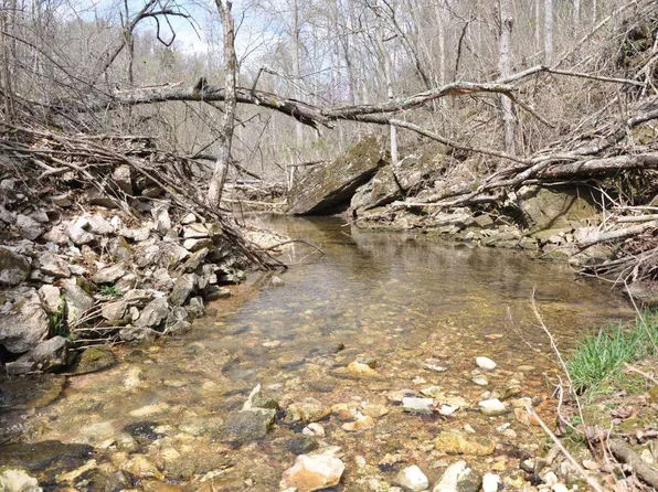 001-00494 Tater Knob Ln, Yellville, AR 72687