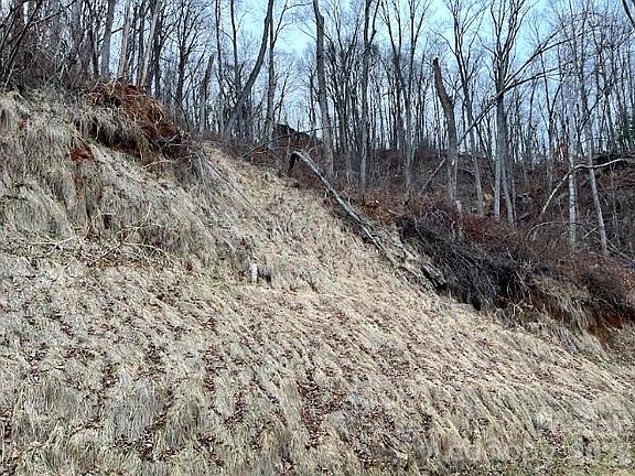 4th image of 89 Weeping Cherry Forest Rd