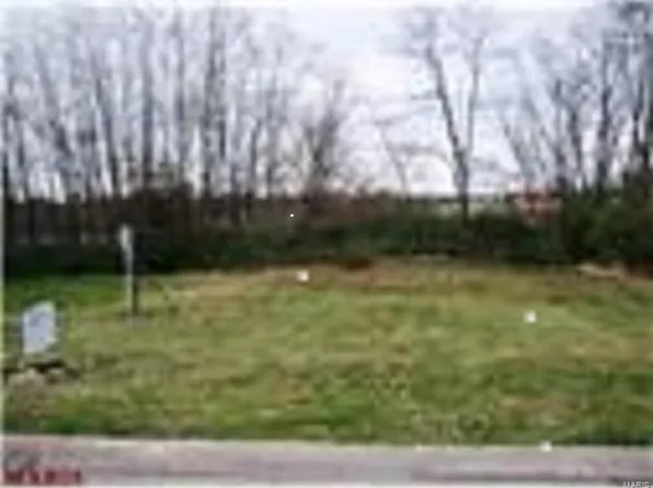 3922 Max Weich Pl, Saint Louis, MO 63136