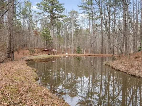 455 M Sanders Rd, Buchanan, GA 30113