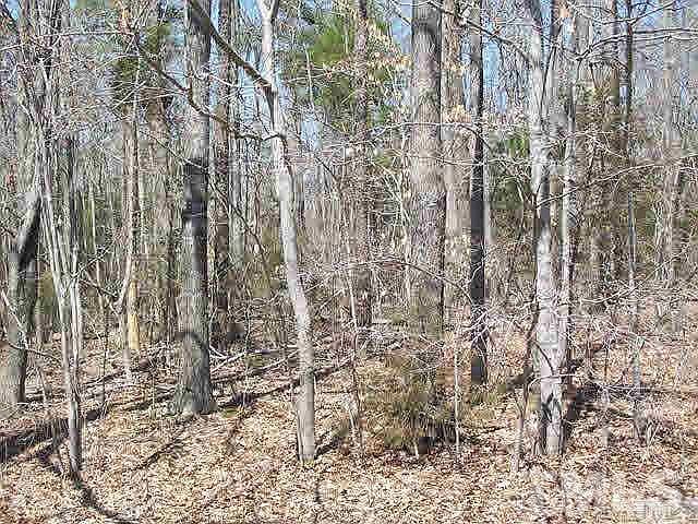 2nd image of Iron Wood Dr Lot 34