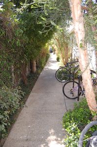 1243 25th St APT D, Santa Monica, CA, 90404