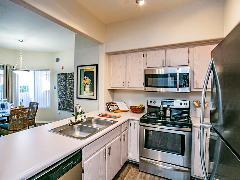 Kitchens with Built-In Appliances