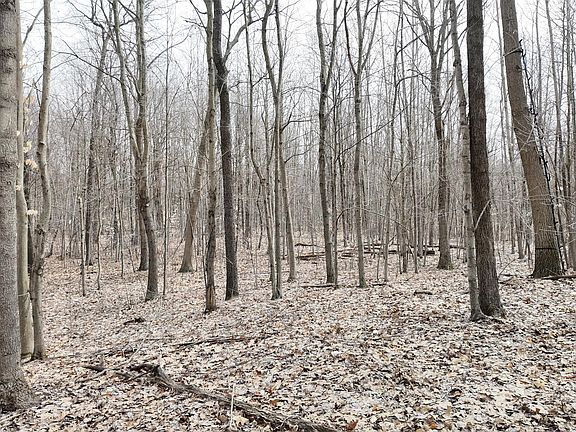 5th image of 5371 Jensen Rd