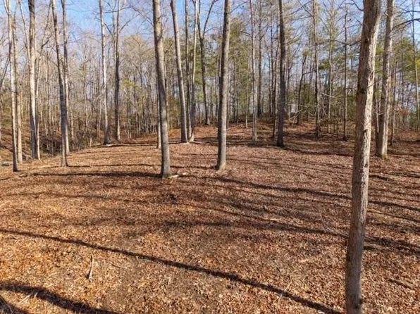 1884 Finale St, Talking Rock, GA 30175