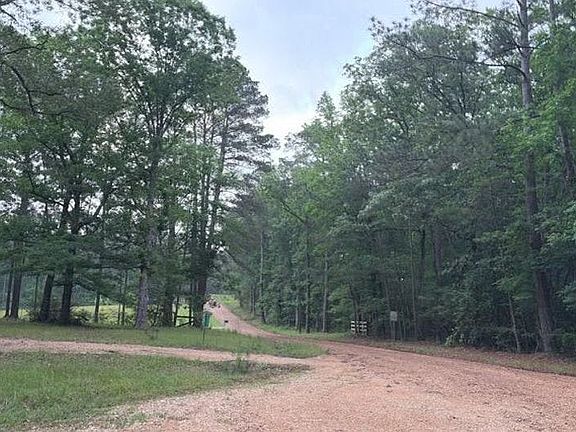 5th image of 4529 Christy Ln