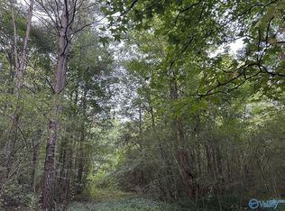 1 Skyball Rd, Blountsville, AL 35031