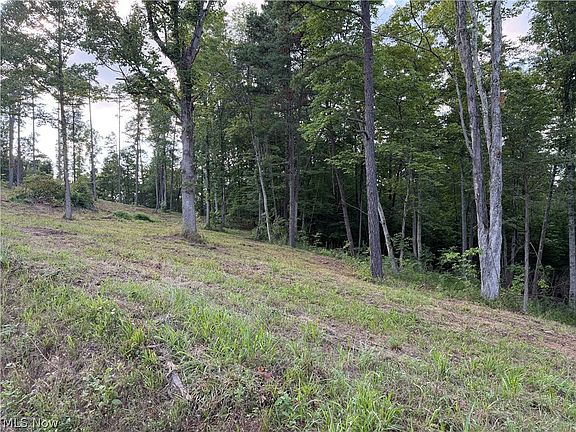 3rd image of 0 Fisher Ridge Rd #1