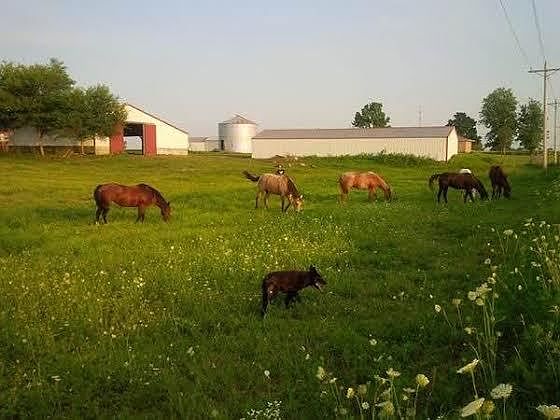 Back side of property