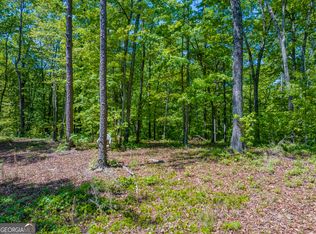 Gun Club Rd, Buchanan, GA 30113