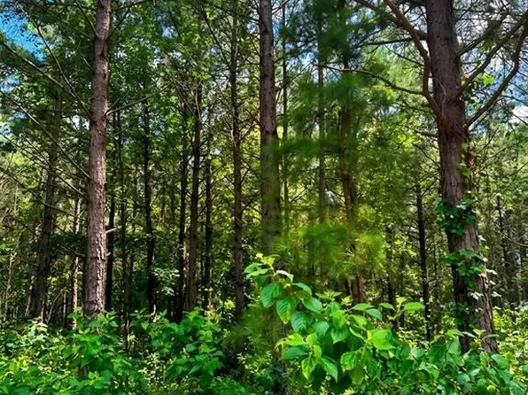 96 Hochapine Trl, Broken Bow, OK 74728