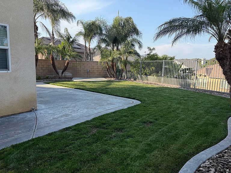 Backyard, Right Side View