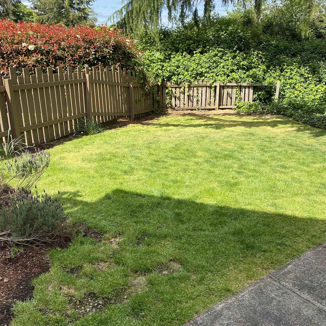 xWillamette Court — Photo 4