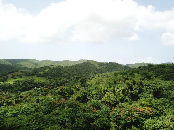 Matr. 29a Brooks Hill WE, St. Croix, VI 00840