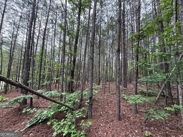 0 Natures Walk Dr, Rome, GA 30165