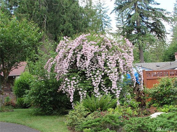 4th image of 1715 Camelot Park SW
