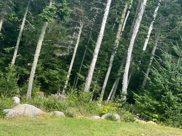 Lot 1 Town Boat Landing Road, Harrington, ME 04643