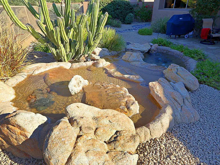 6894 E Thirsty Cactus Ln — Photo 44
