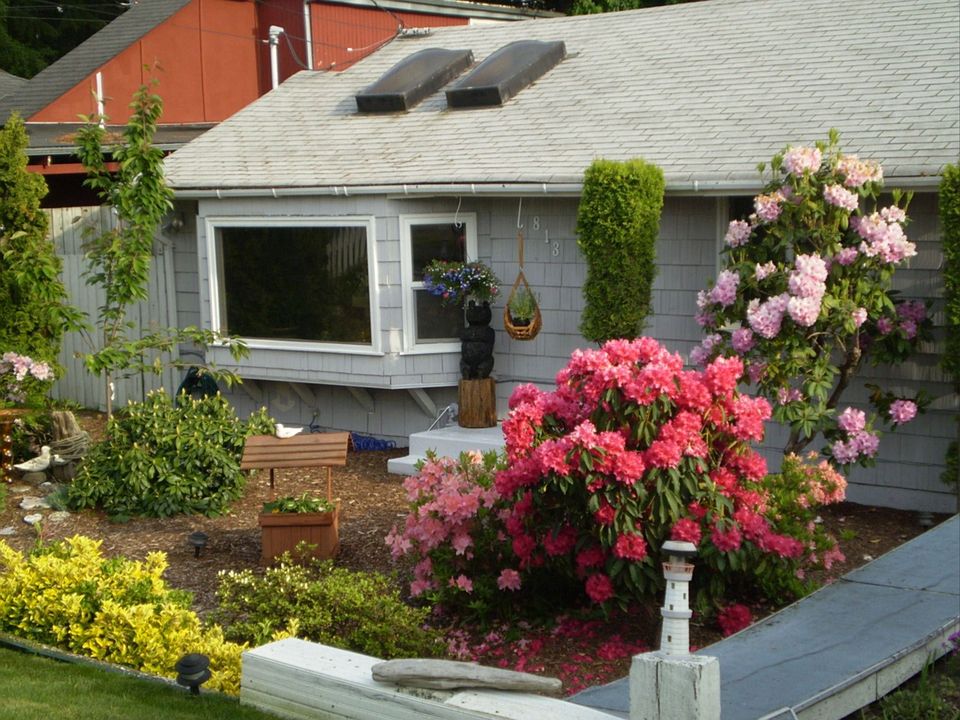 Spring Landscape