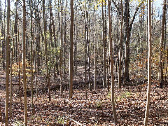 3rd image of 0 Parkersville Rd