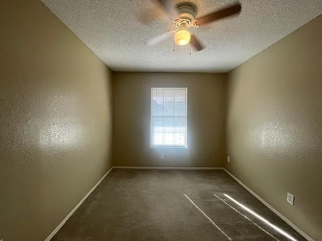 Picture 20