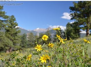 1794 Silver Tree Ln, Estes Park, CO 80517