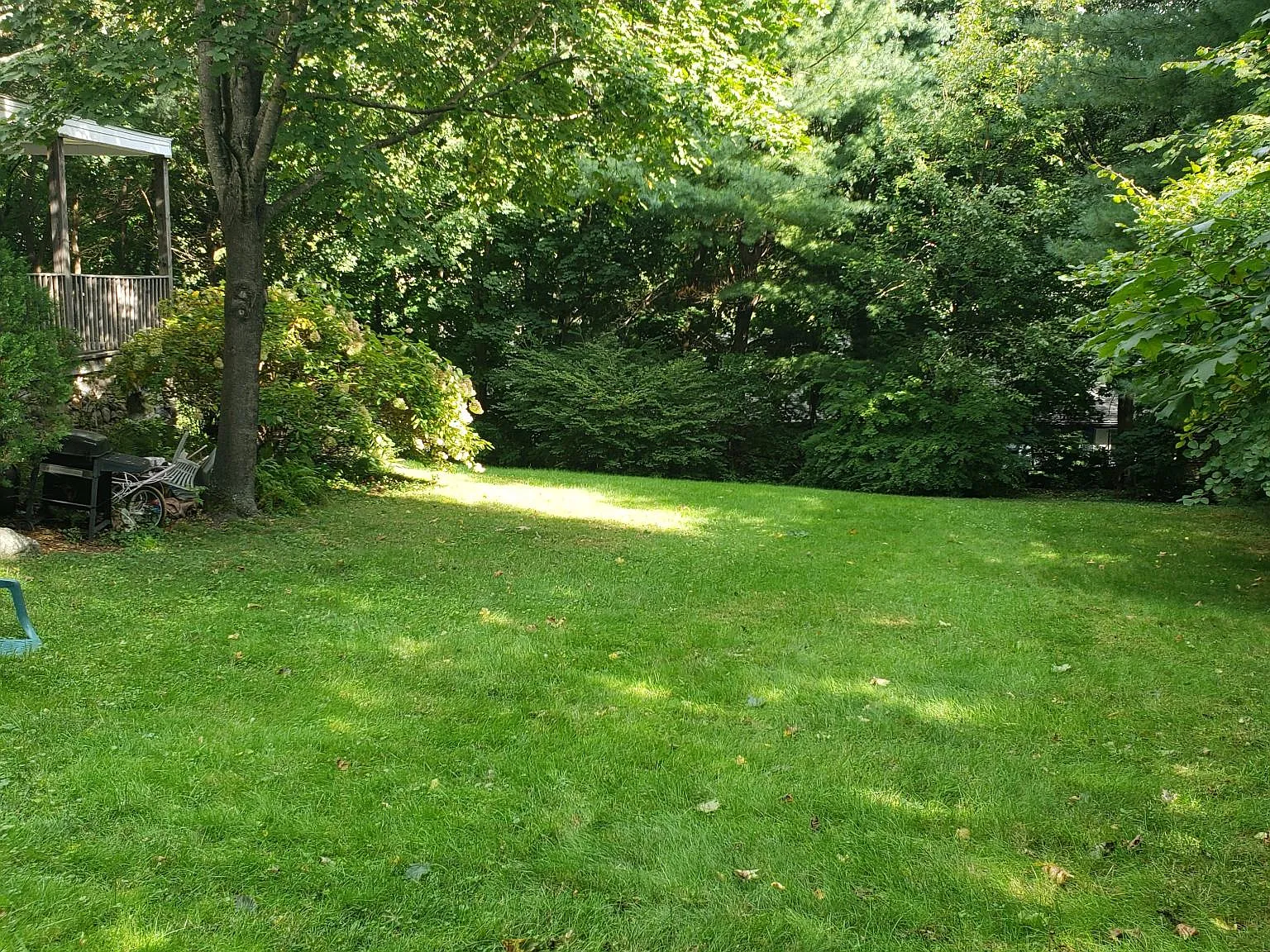 1 bed, 800 sqft, $1,350 — Photo 2