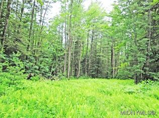 491 Avery Rd S, Stratford, NY 13470