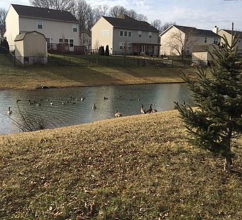 4th image of 6621 Heritage Hill Dr