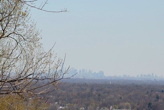 5th image of 690 Johnston Dr