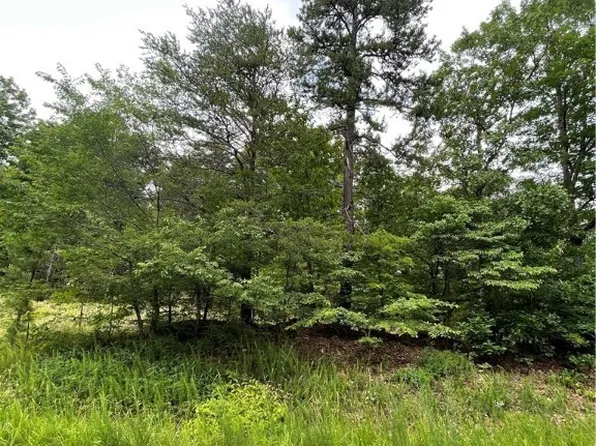 0 Abilene Rd #13, Charlotte Court House, VA 23923