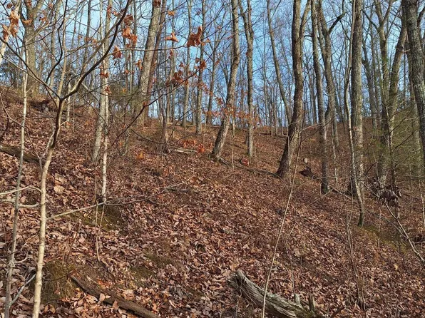 LOT 3 Baysinger Rd, Newport, TN 37821
