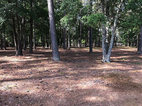 View of lot from North