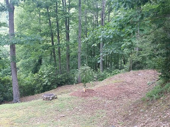 Large Side Yard