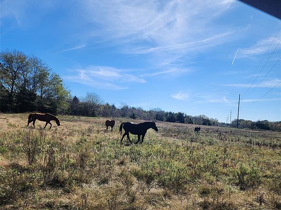 2nd image of Clifton Rd