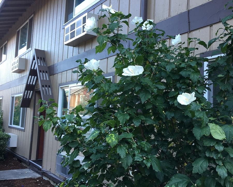 outside of the unit