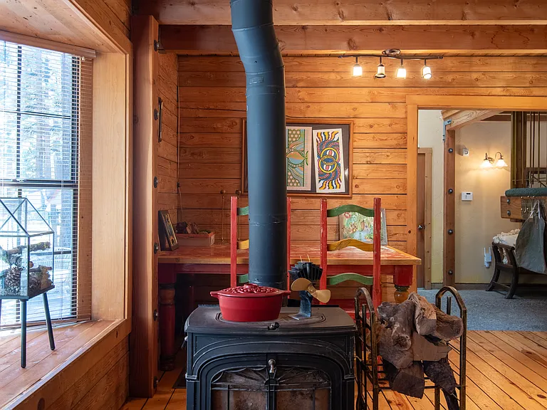 Living Room Wood Stove