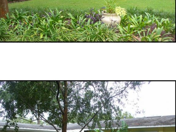 Front and Back Patio
