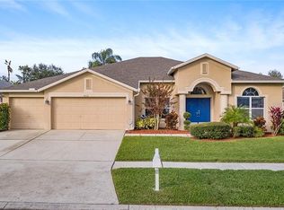 4312 Buckhorn Groves Ct, Valrico, FL 33596