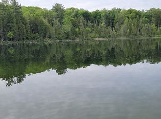 5331 N Dexter Rd, Irons, MI 49644